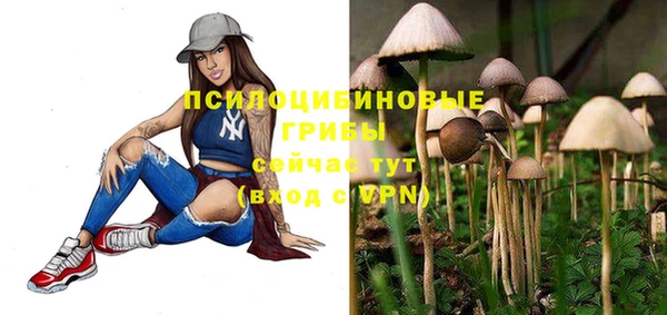 гидра Балахна