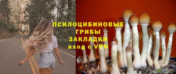 гидра Балахна