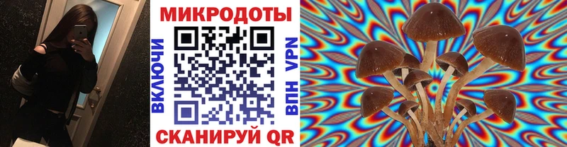 Псилоцибиновые грибы GOLDEN TEACHER  ОМГ ОМГ как войти  Кузнецк  где продают наркотики 